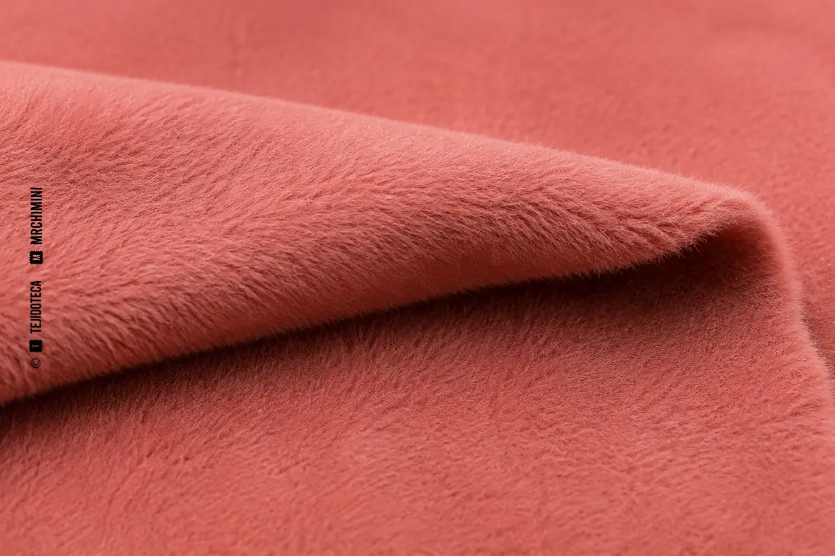 Detalle macro de coralina rosa con pelo corto, fino y uniforme.