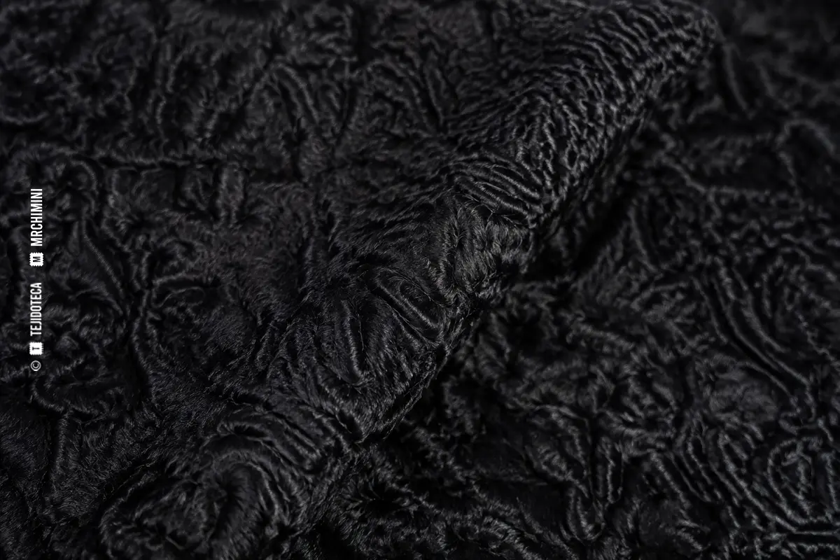 232_astracan-autentico_macro Macro de astracán auténtico negro con ondas compactas de pelo karakul