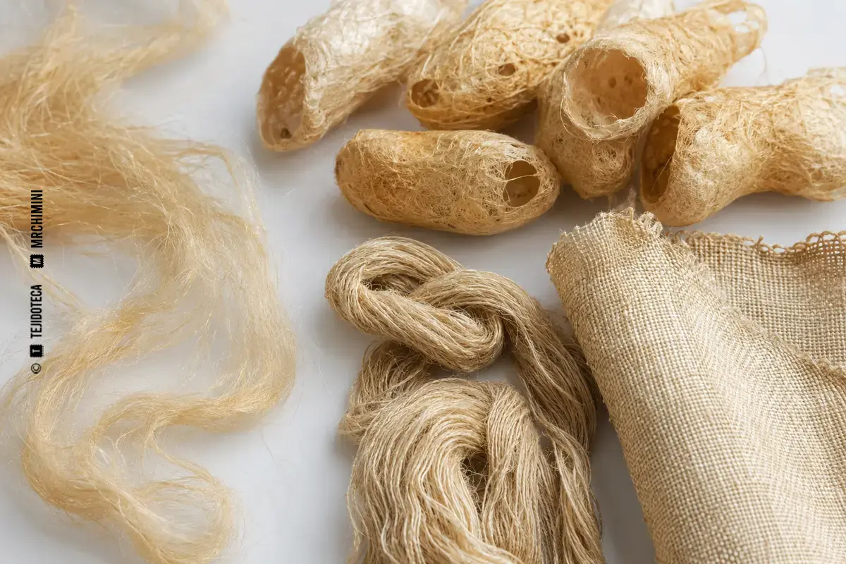 SEDA TUSSAH – TEJIDOTECA Representación técnica de seda tussah en el ámbito de las fibras textiles.