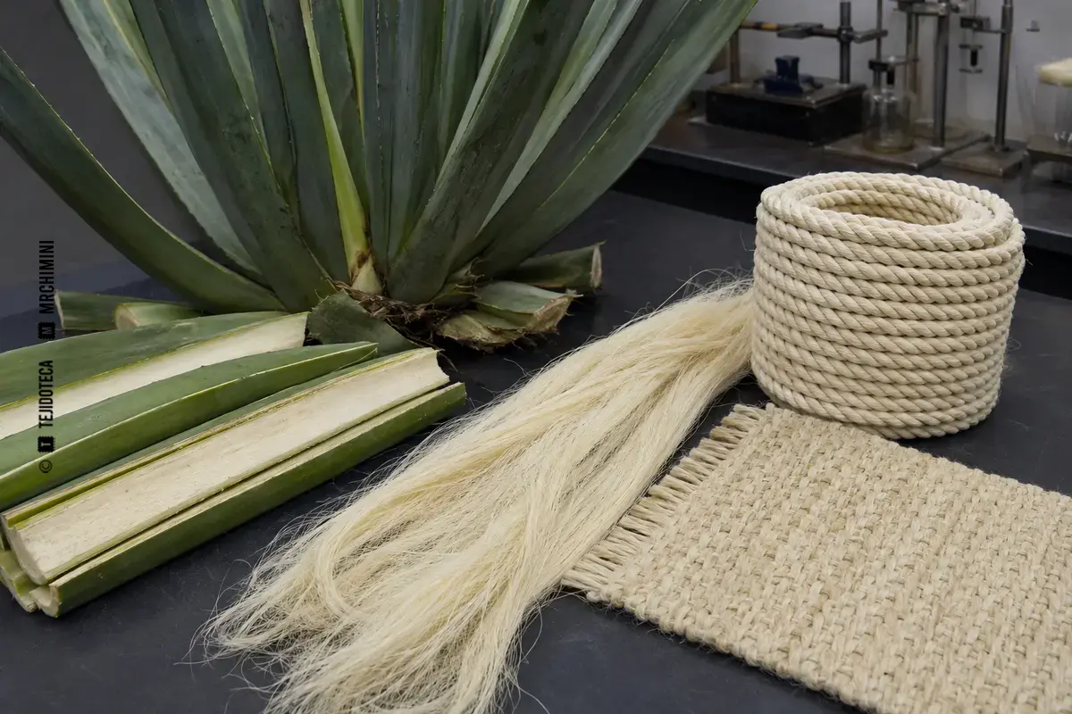 SISAL – TEJIDOTECA Representación técnica de sisal en el ámbito de las fibras textiles.