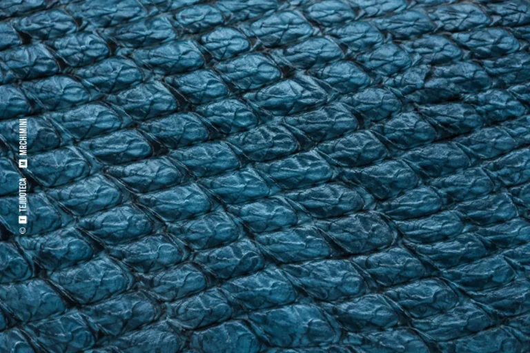 PIEL DE PESCADO