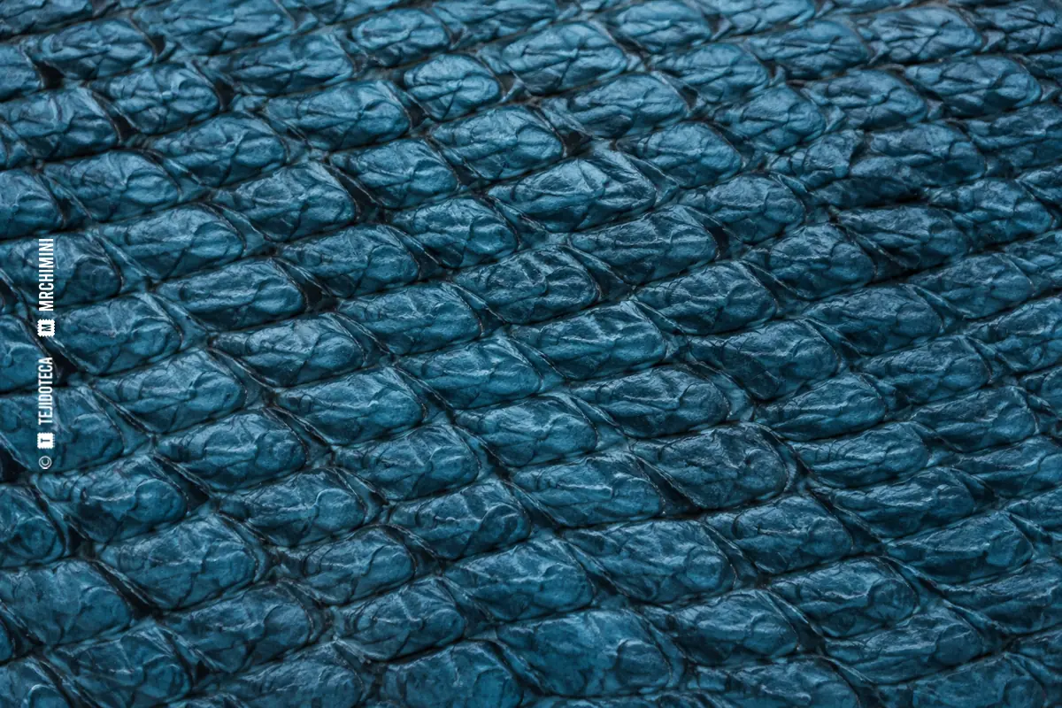 Macro de piel de salmón azul con dibujo de cavidades de escama