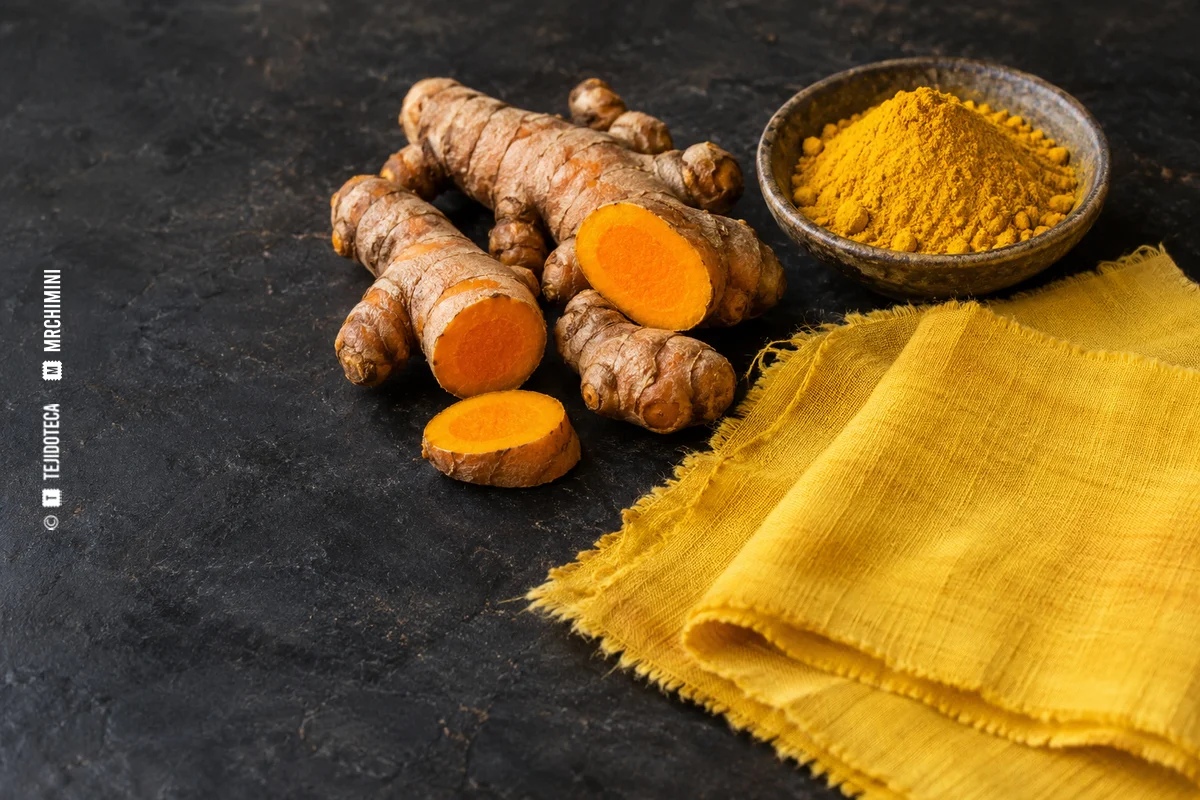 CÚRCUMA · TEJIDOTECA Rizomas y polvo de cúrcuma con una muestra textil amarilla — TEJIDOTECA